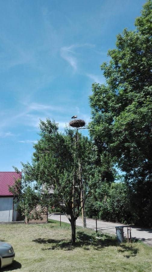 Domek Blisko Biebrzy Radzilow Exterior foto
